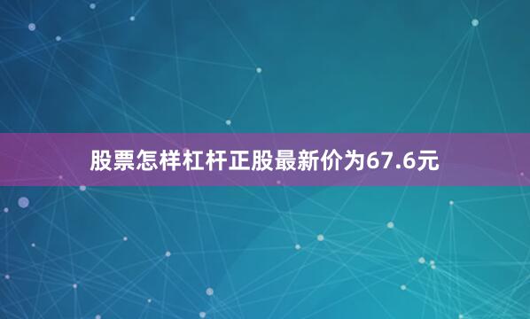 股票怎样杠杆正股最新价为67.6元